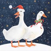 Geese Christmas Card
