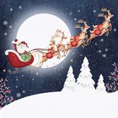 Moonlight Sleigh Ride Christmas Card