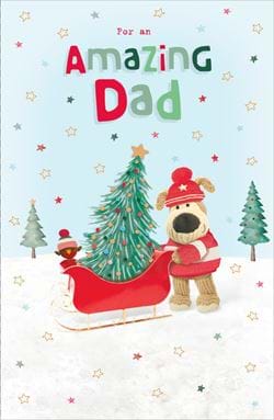Sleigh Dad Christmas Card