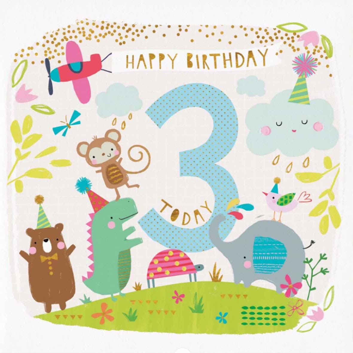 Animals 3rd Birthday Card