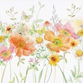 Poppies and Daisies Greeting Card