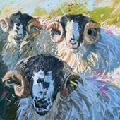 Rough Fell Tups Greeting Card