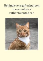 Rather Talented Cat Greeting Card