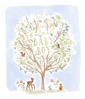 Sweet Baby Boy New Baby Card