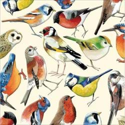 Birds Greeting Card