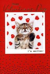 I'm Smitten Valentine's Day Card