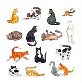 Cat Chaos Greeting Card