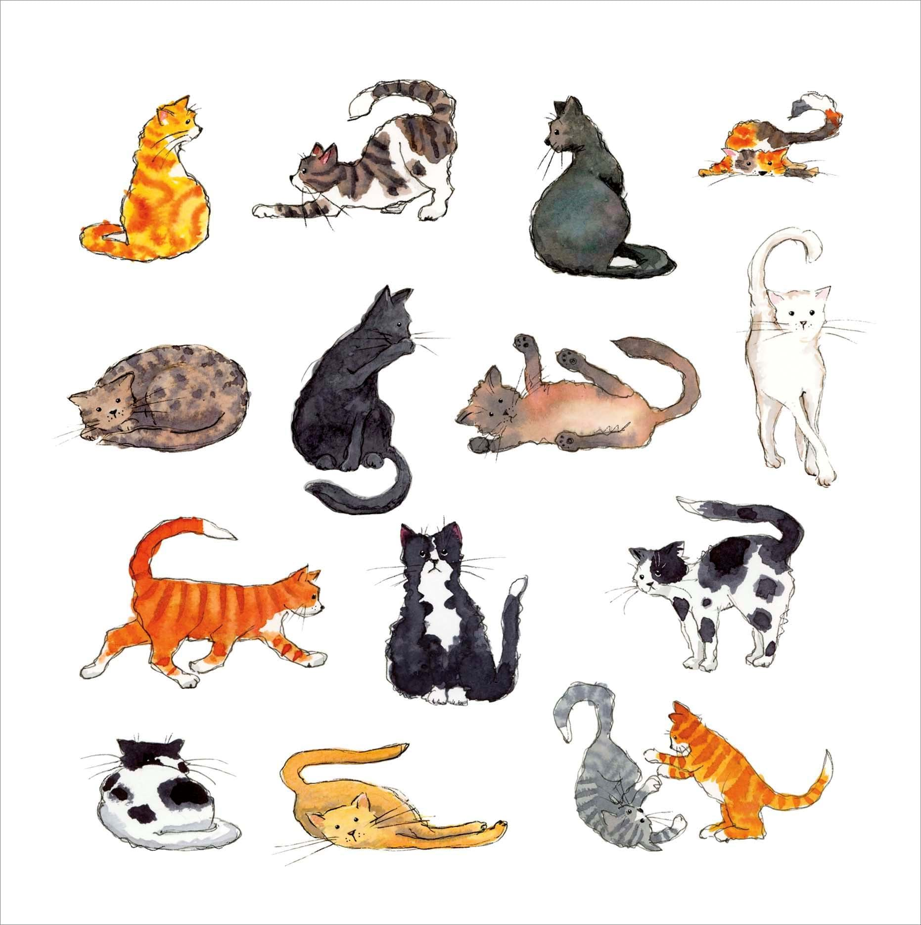 Cat Chaos Greeting Card