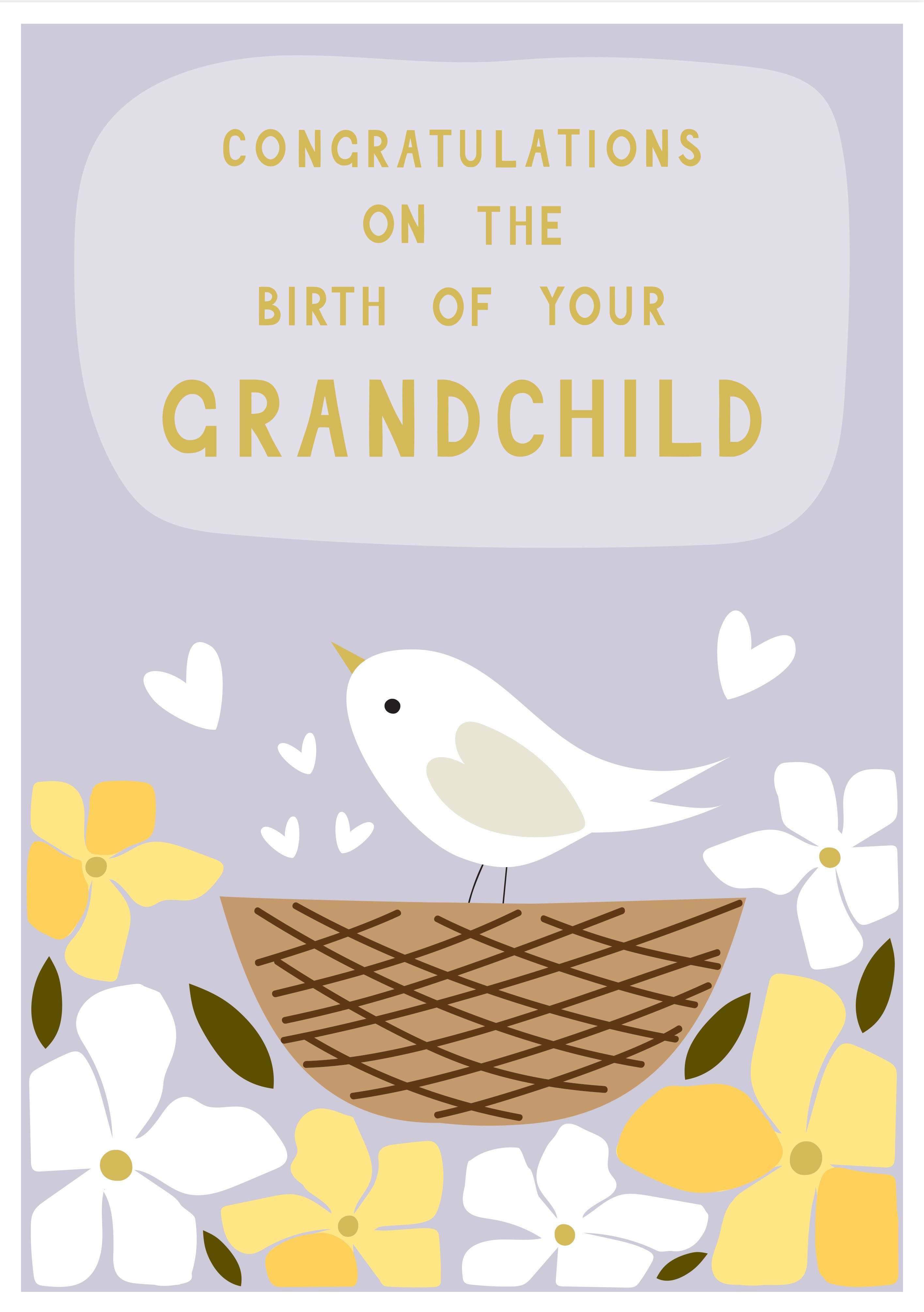 Little Bird New Baby Grandchild Card