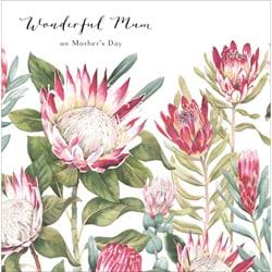 Protea Flowers Mother's Day Card