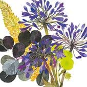 Agapanthus Greeting Card