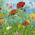 Wild Flower Garden Notecards - Pack of 8