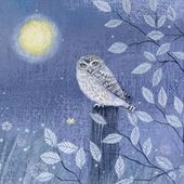 Little Owl Greeting Card