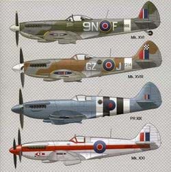 Spitfire Greeting Card