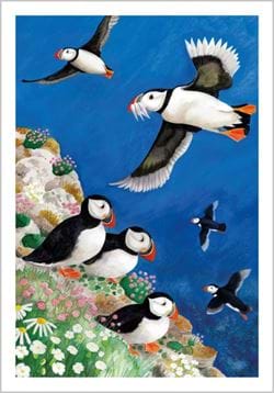 Puffins Greeting Card