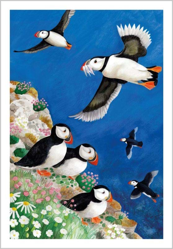 Puffins Greeting Card