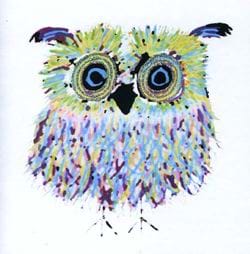 Colourful Owl Greeting Card