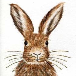 Brown Hare Greeting Card