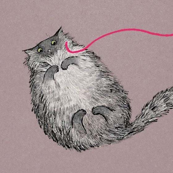 Playtime Greeting Card