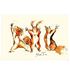 Show Time Squirrel Tea Towel