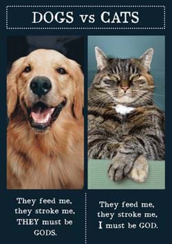 Dogs vs Cats Birthday Card