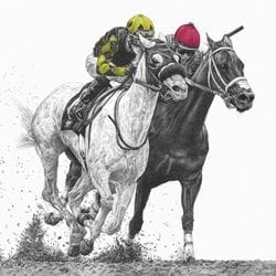 Horse Racing Greeting Card