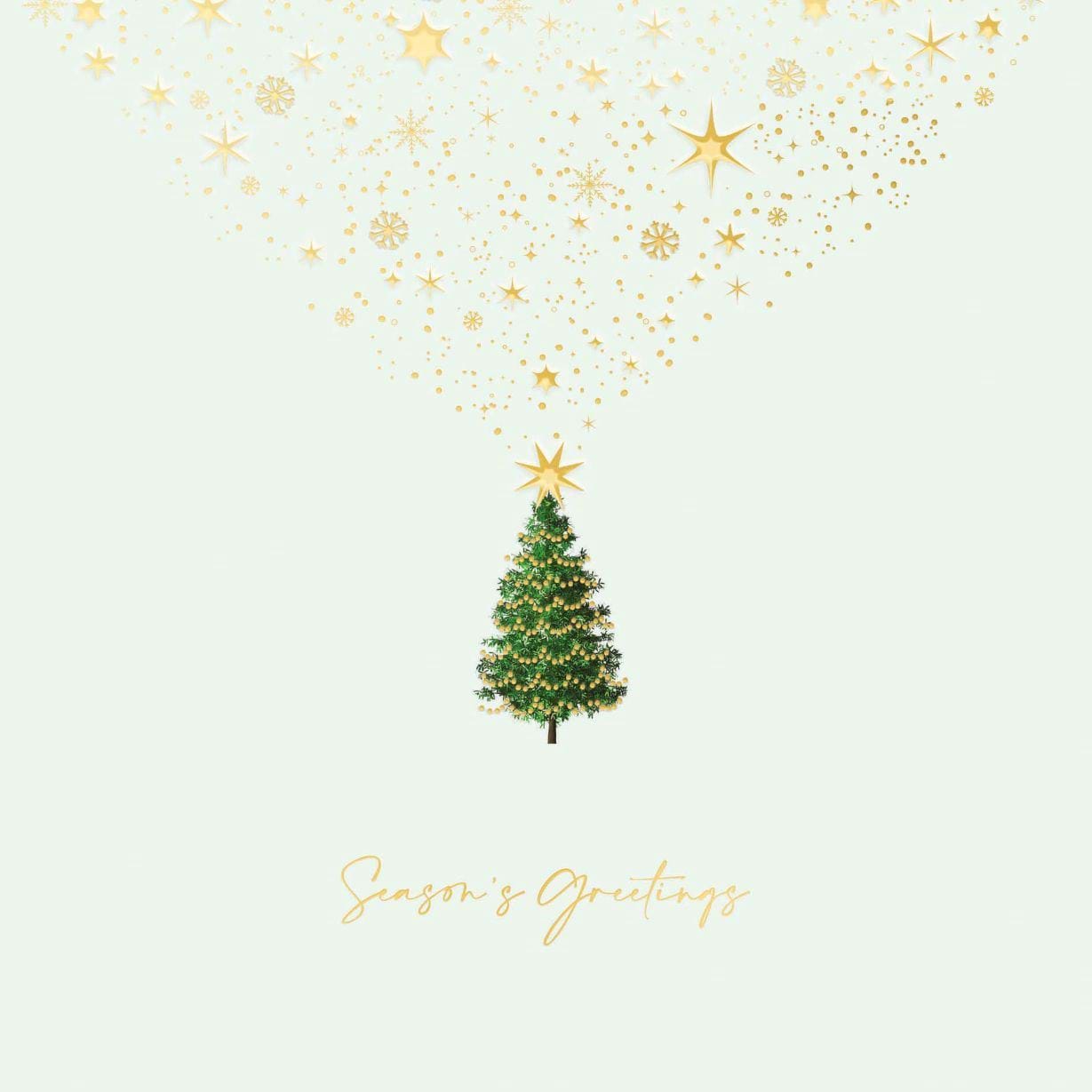 Mini Tree with Stars - Personalised Christmas Card