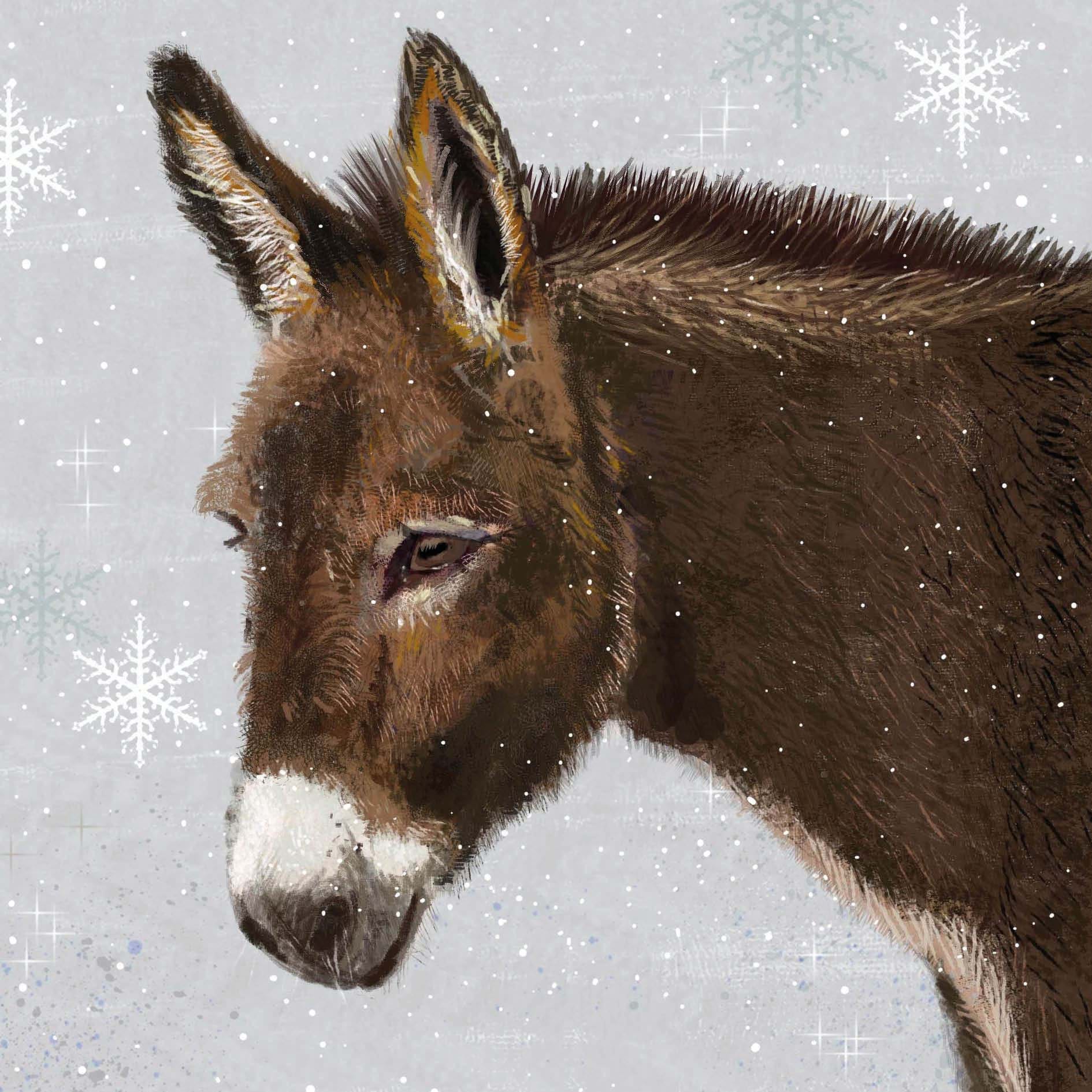 Winter Donkey, RSPCA Christmas Cards - Pack of 10