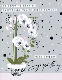 White Orchid Sympathy Card