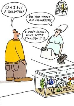Pet Shop Greeting Card