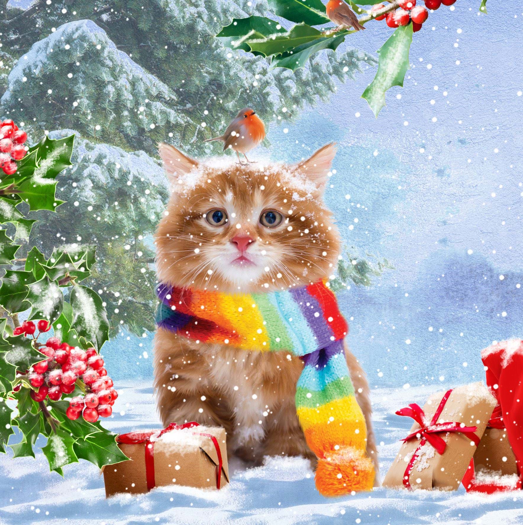 Wrapped Up Kitten - Personalised Christmas Card
