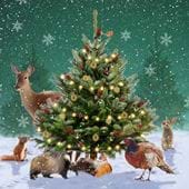 Around The Tree, RSPCA Christmas Cards - Pack of 10