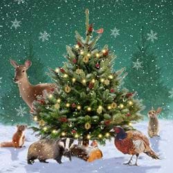 Around The Tree, RSPCA Christmas Cards - Pack of 10