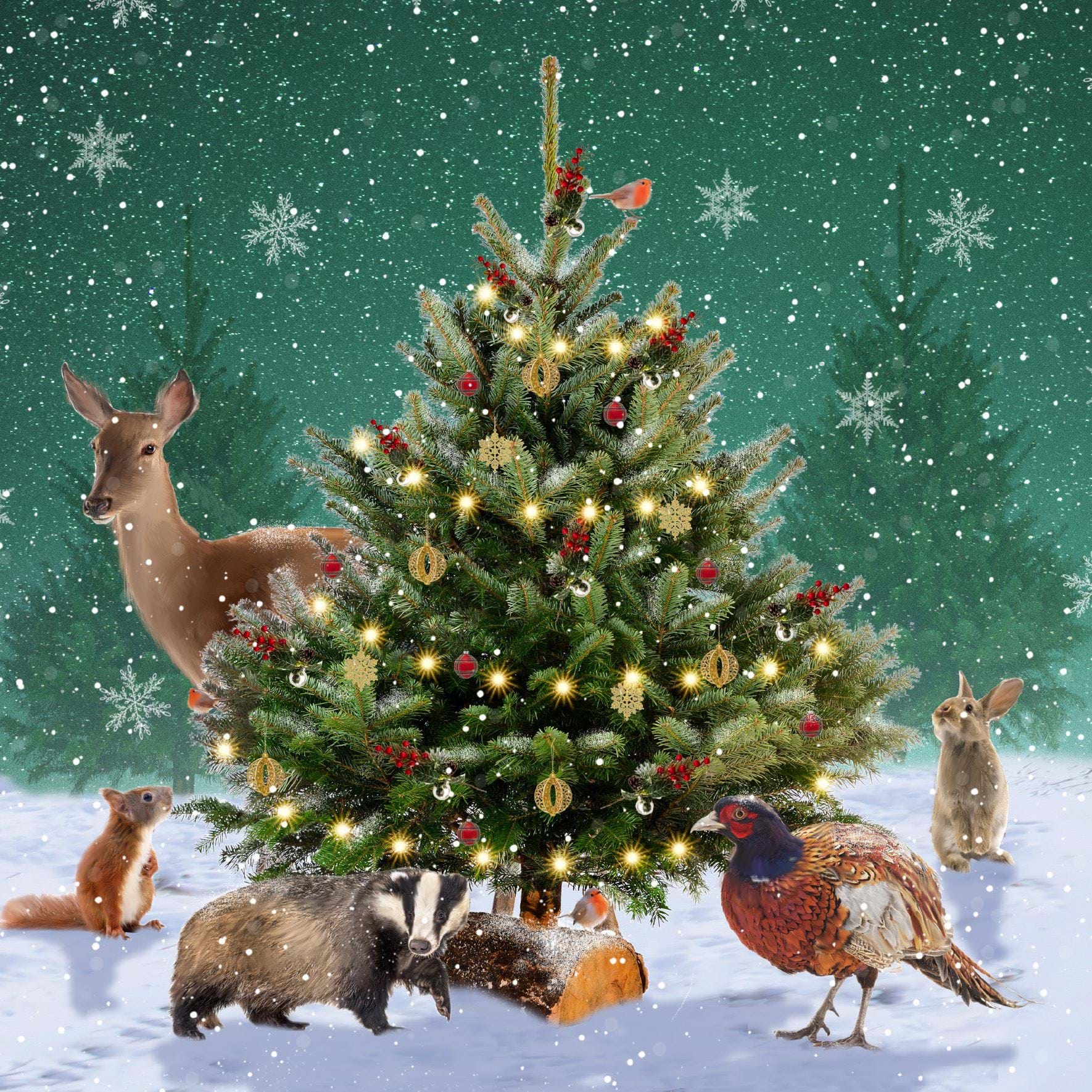 Around The Tree, RSPCA Christmas Cards - Pack of 10