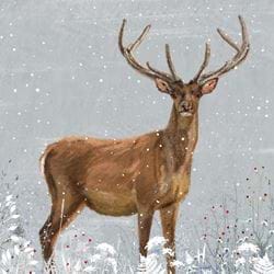Stag - Personalised Christmas Card