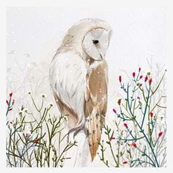 Barn Owl - Personalised Christmas Card