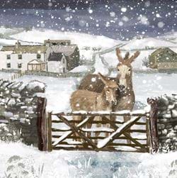 Donkeys On The Farm - Personalised Christmas Card