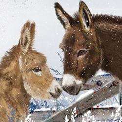 Donkey Kiss - Personalised Christmas Card