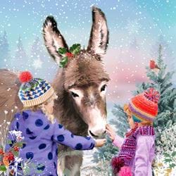 Feeding The Donkey - Personalised Christmas Card