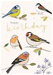 Garden Birds Birthday Card