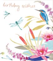 Kingfisher Birthday Card