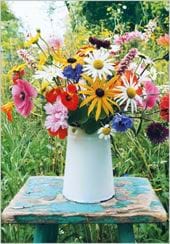 Garden Flowers Birthday Card