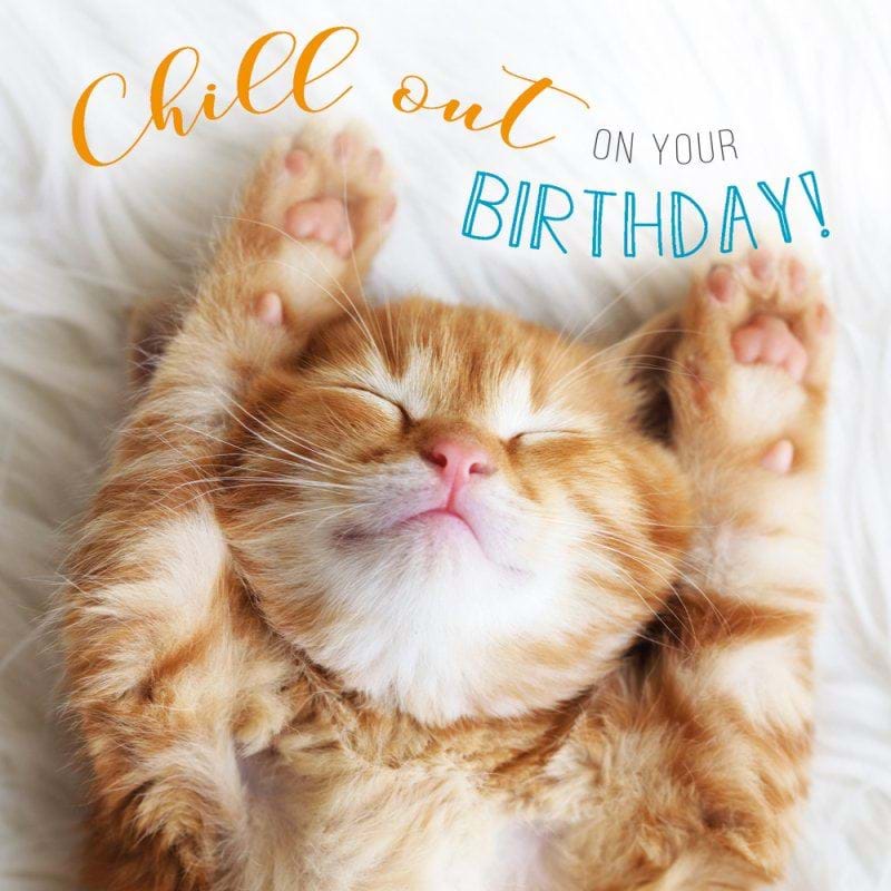 Chill Out Cat Birthday Card