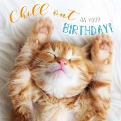Chill Out Cat Birthday Card