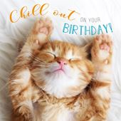 Chill Out Cat Birthday Card