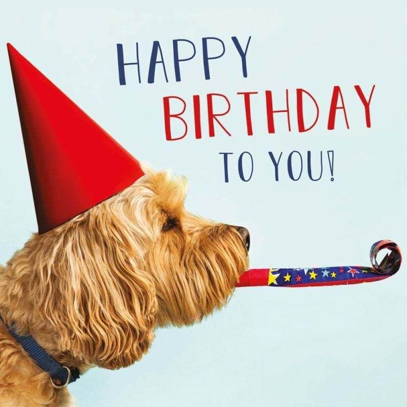 Party Dog Birthday Card