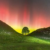 Sycamore Gap Greeting Card