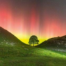 Sycamore Gap Greeting Card