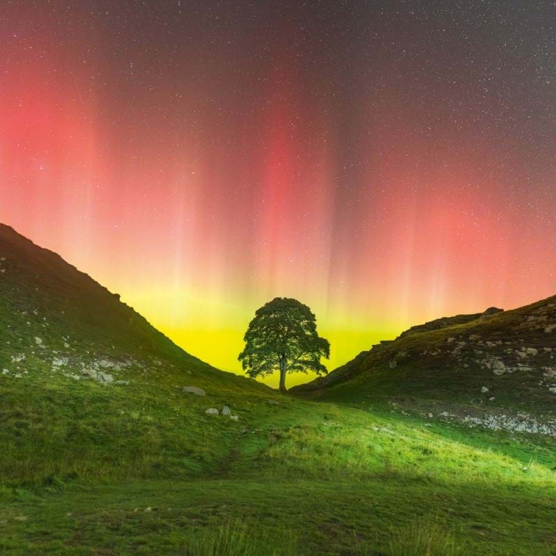 Sycamore Gap Greeting Card