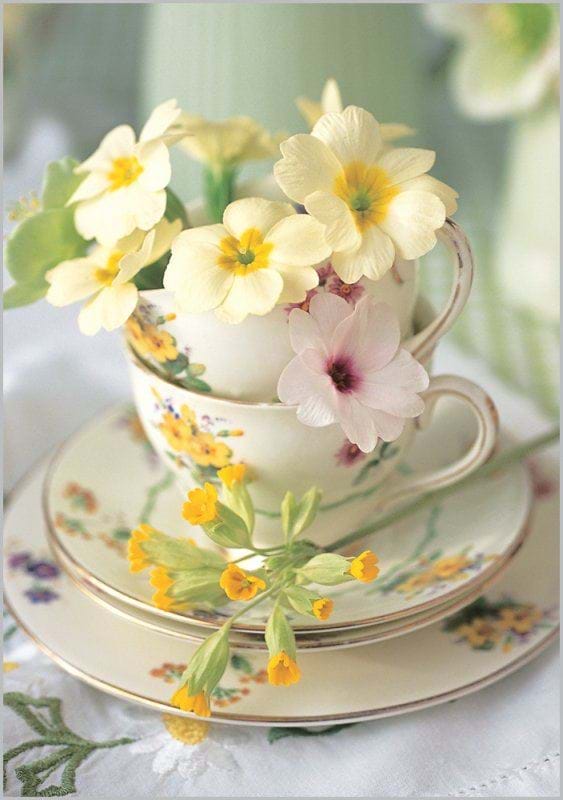 Teacup Flowers Birthday Card